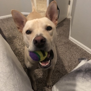 Fundraising Page: Amy Hranka